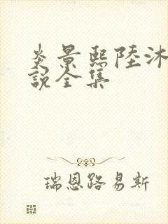 炎景熙陆沐擎小说全集