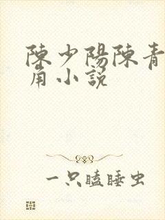 陈少阳陈青帝主角小说