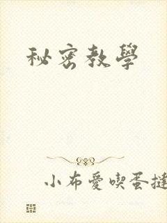 秘密教学