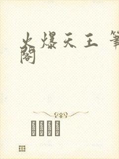 火爆天王 笔趣阁