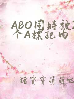 ABO同时被2个A标记肉