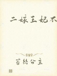 二嫁王妃不好惹