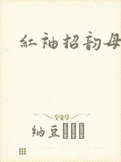 红袖招韵母攻略