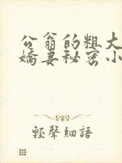公翁的粗大放进娇妻秘密小说