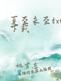 夏至未至txt下载