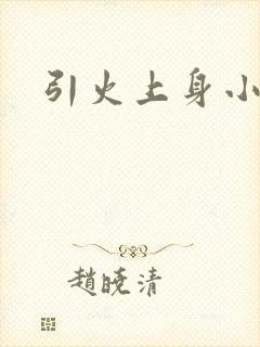引火上身小说