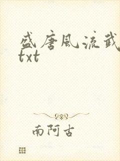 盛唐风流武状元txt