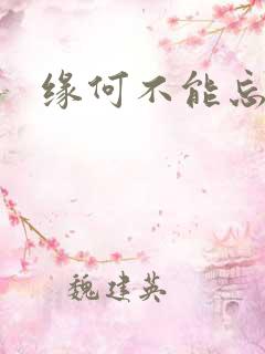 缘何不能忘记你