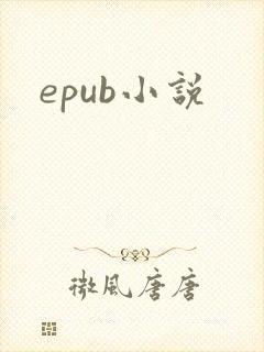 epub小说