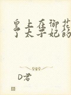 皇上在御花园c了太子妃的网剧