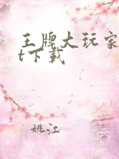 王牌大玩家txt下载