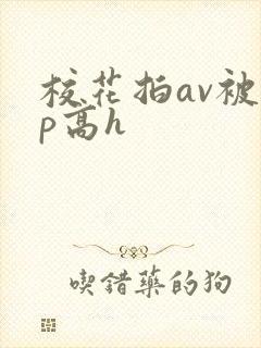 校花拍av被np高h