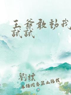 王爷敢动我妈咪试试