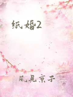 纸婚2