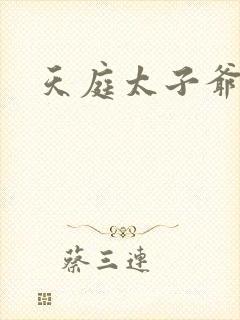 天庭太子爷