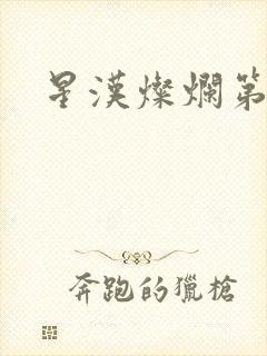 星汉灿烂第二部