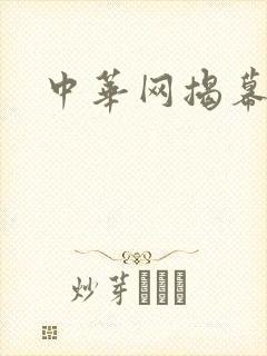 中华网揭幕内参