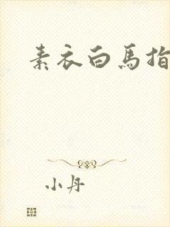 素衣白马指天下