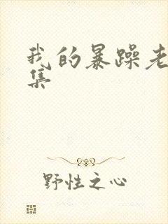 我的暴躁老妈全集