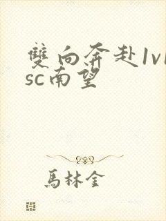 双向奔赴1v1sc南望