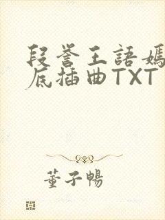 段誉王语嫣在井底插曲TXT