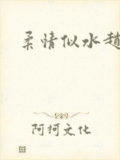 柔情似水赵雅儿