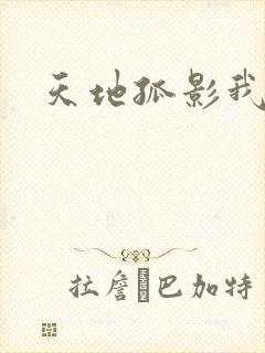 天地孤影我独行