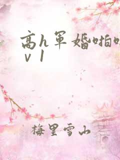 高h军婚啪啪1ⅴ1