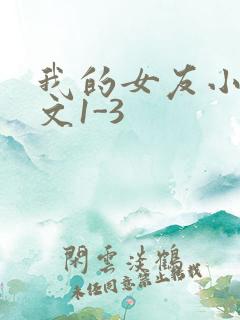 我的女友小洁全文1-3