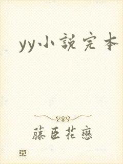 yy小说完本