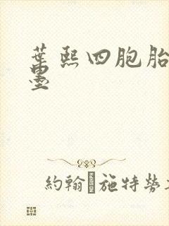 叶熙四胞胎厉子墨