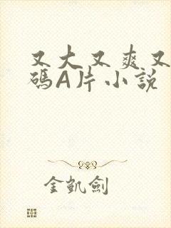 又大又爽又黄无码A片小说