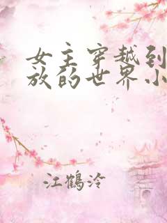 女主穿越到很开放的世界小说