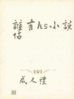 谁有hs小说网站