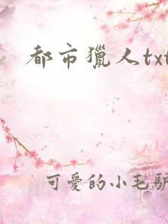 都市猎人txt