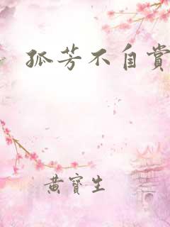 孤芳不自赏小说