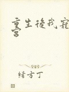 重生后我宠冠东宫