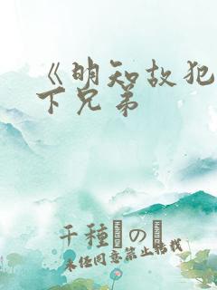 《明知故犯》年下兄弟