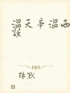 温天辛温西离小说