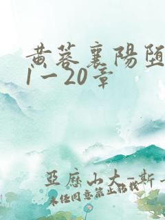 黄蓉襄阳堕落史1一20章