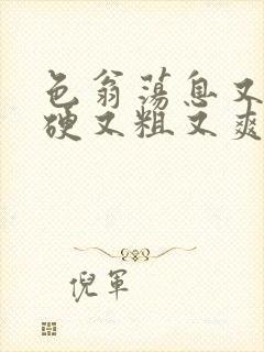 色翁荡息又大又硬又粗又爽电影