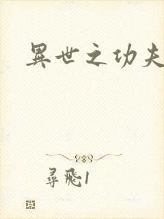 异世之功夫之王