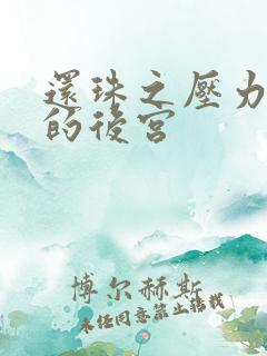 还珠之压力山大的后宫