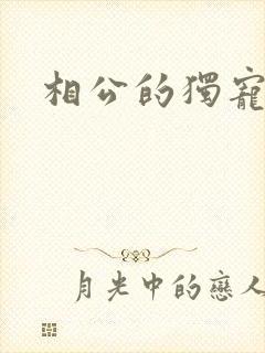 相公的独宠妻子