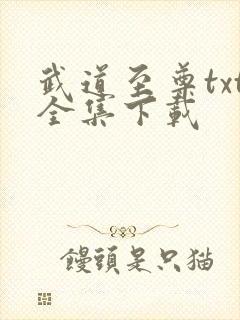 武道至尊txt全集下载