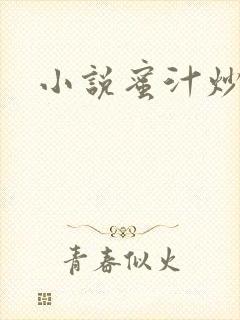 小说蜜汁炒鱿鱼