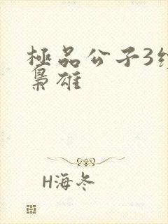 极品公子3续世枭雄