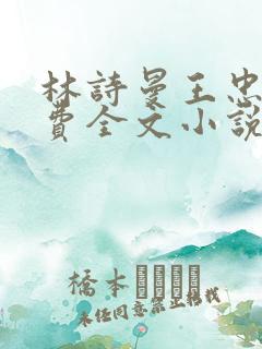 林诗曼王忠文免费全文小说的名称