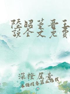 陆昭菱晋王的小说全文免费阅读