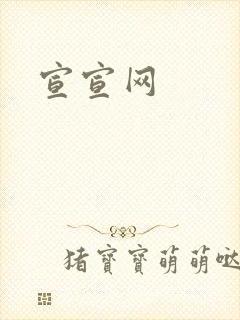 宣宣网